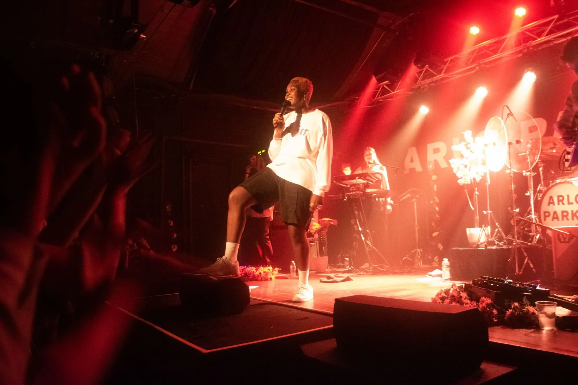 Arlo Parks Amazes Boston