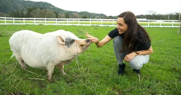 Leah Garcés on Chickens, Ethics, and Reducing Suffering in the Meat Industry