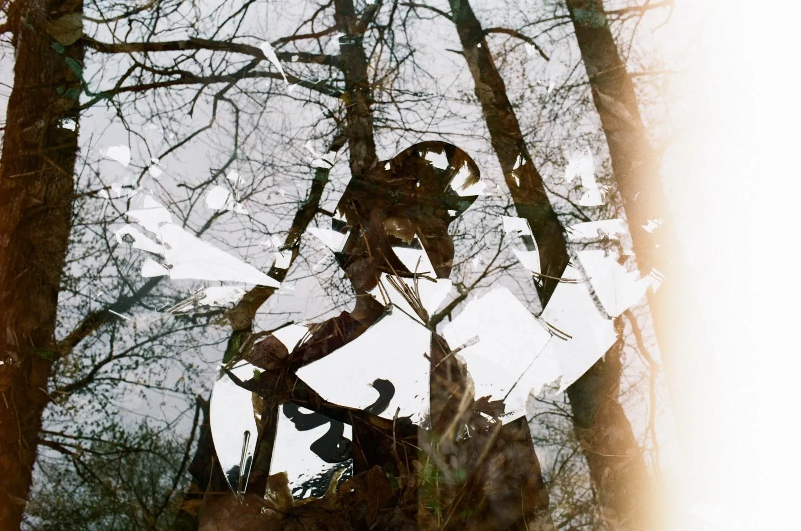 The Inspired Nathan Roy