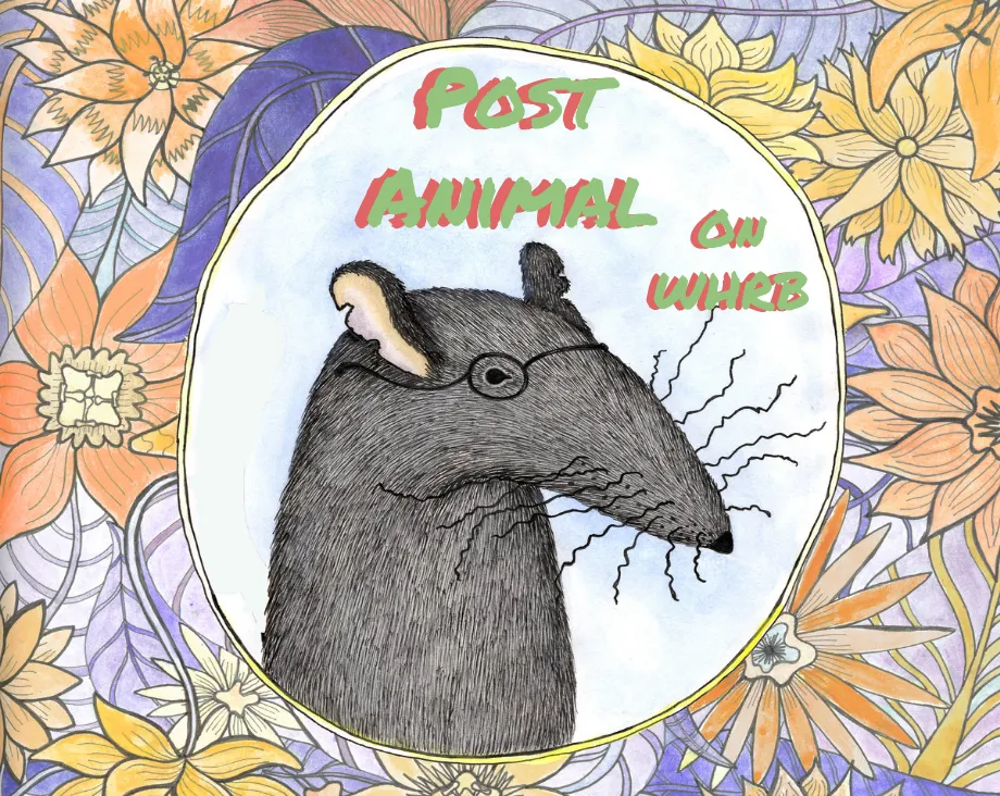 Post Animal Sings Acapella, Talks About Chicago's Music Scene, &amp; More ~ Dogghouse Interview
