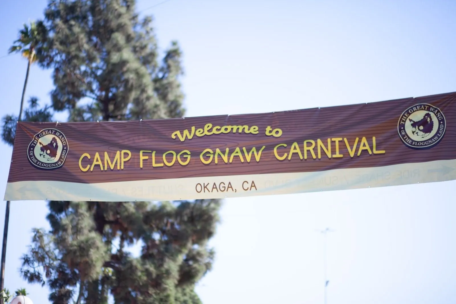 Sun, Sneakers, and Solange: Camp Flog Gnaw Day 1