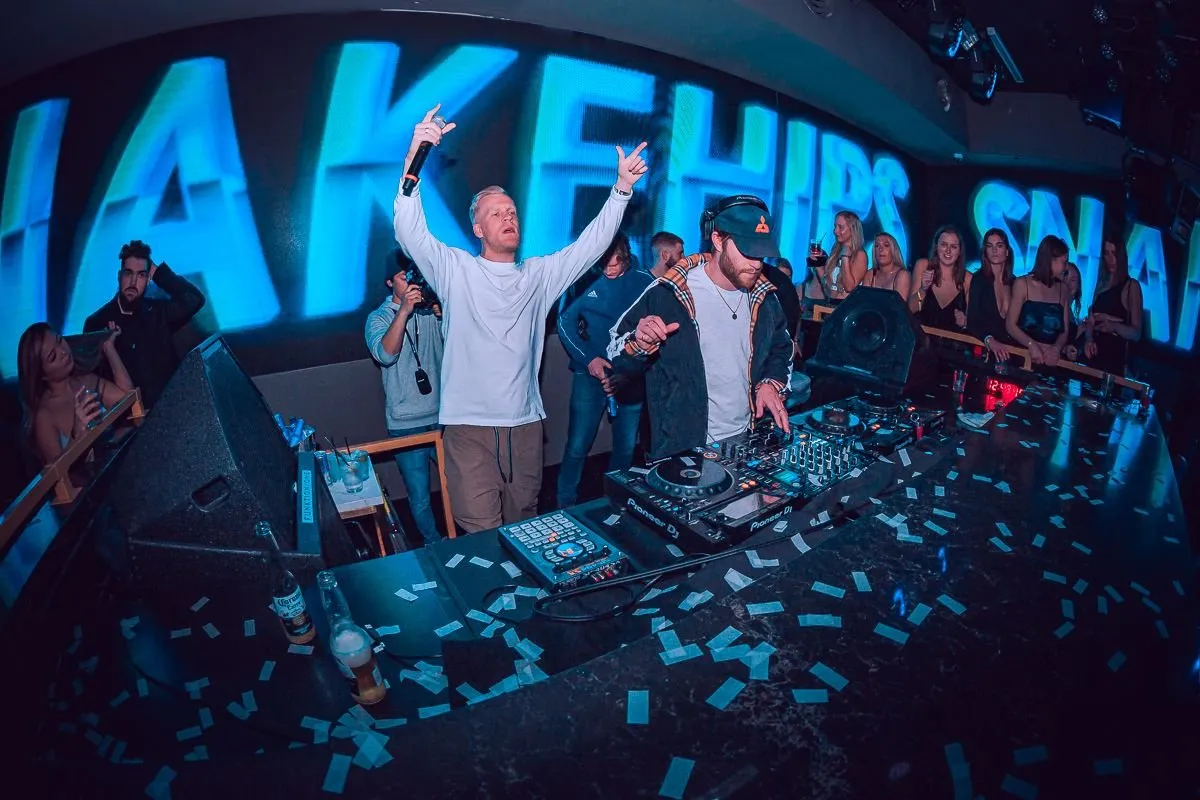 Snakehips: from small beginnings