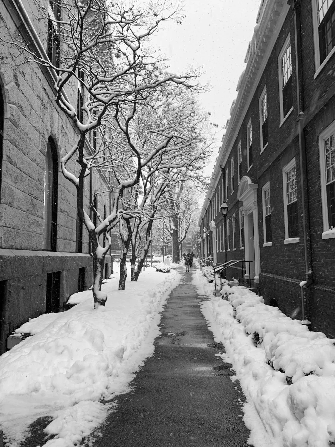 2021 Winter Orgy Season