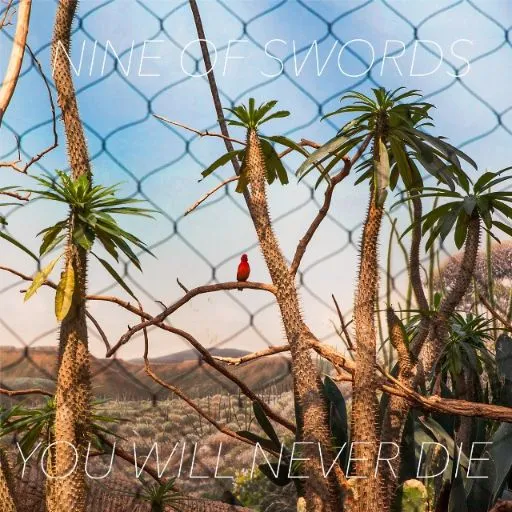 RH Top 20 - Week of 2/13/17